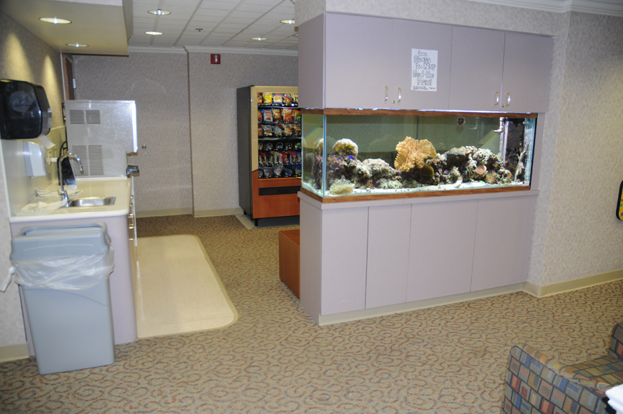 Reef Tectonics Aquarium Maintenance and Design Lincoln & Omaha